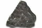 L Chondrite Meteorite ( g) - Hammadah al Hamra #302194-1